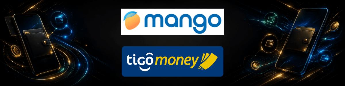 Billeteras Digitales y Giros